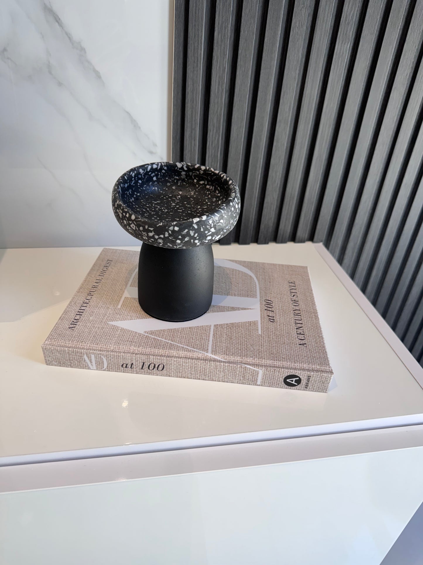 AD at 100 Magazine Book