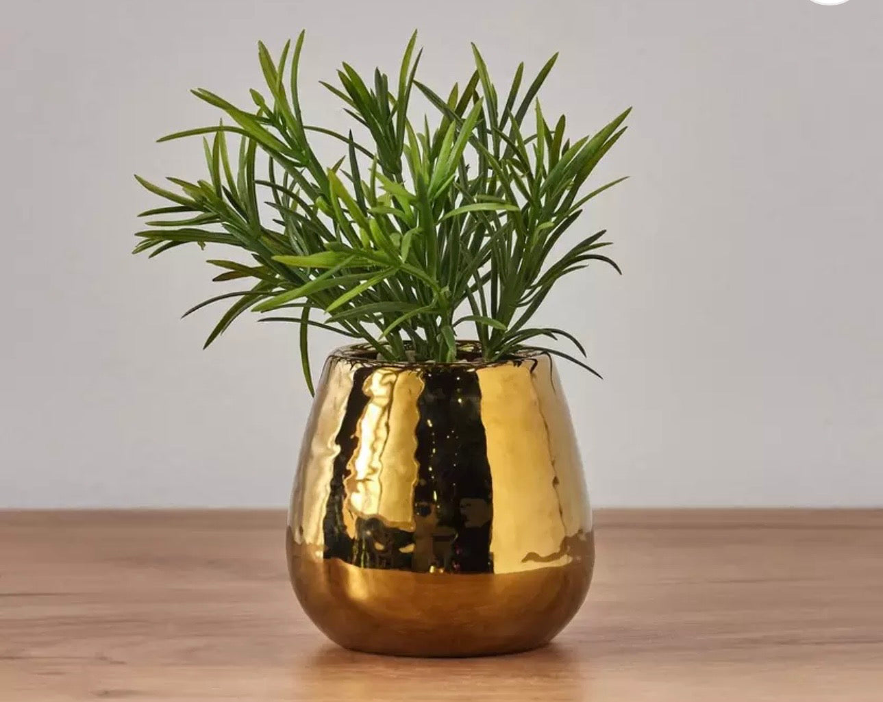 Small gold grass pot